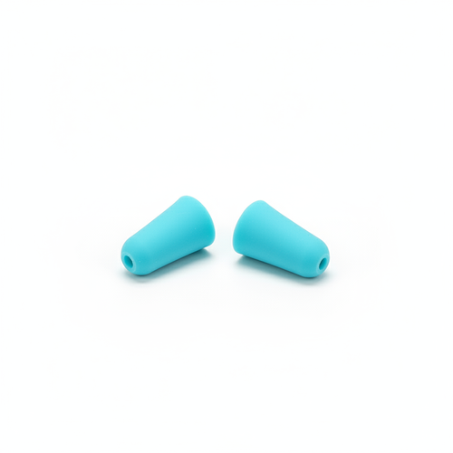Earplugs Pair