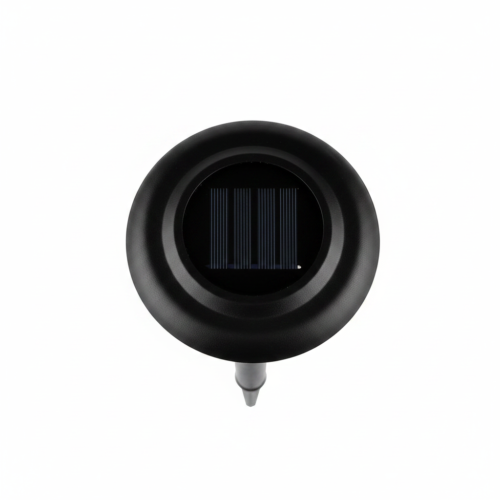 Top-down view